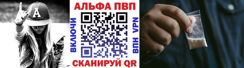 закладка  mega сайт  А ПВП СК КРИС  Шумиха 