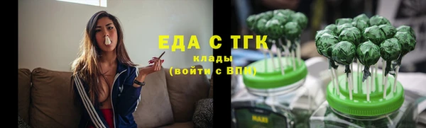 ECSTASY Алзамай