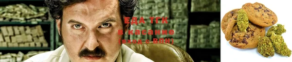 ECSTASY Алзамай