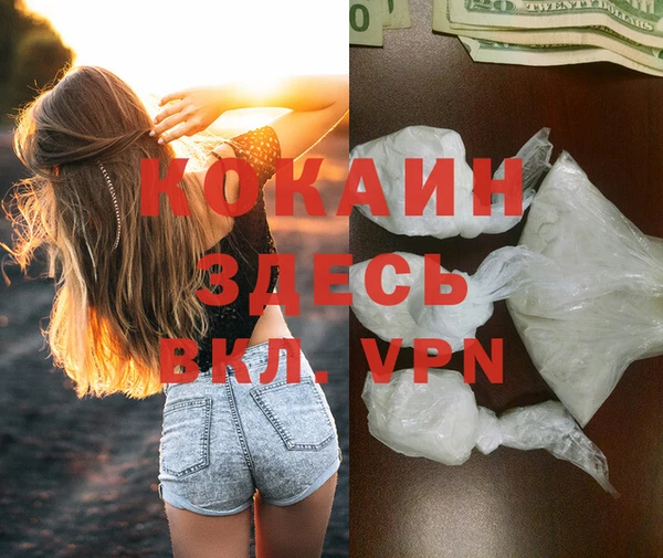 ECSTASY Алзамай