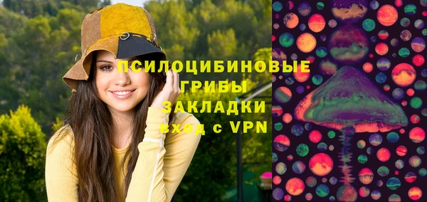 дурь Алексеевка