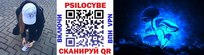 где найти   Шумиха  hydra зеркало  Псилоцибиновые грибы мицелий 